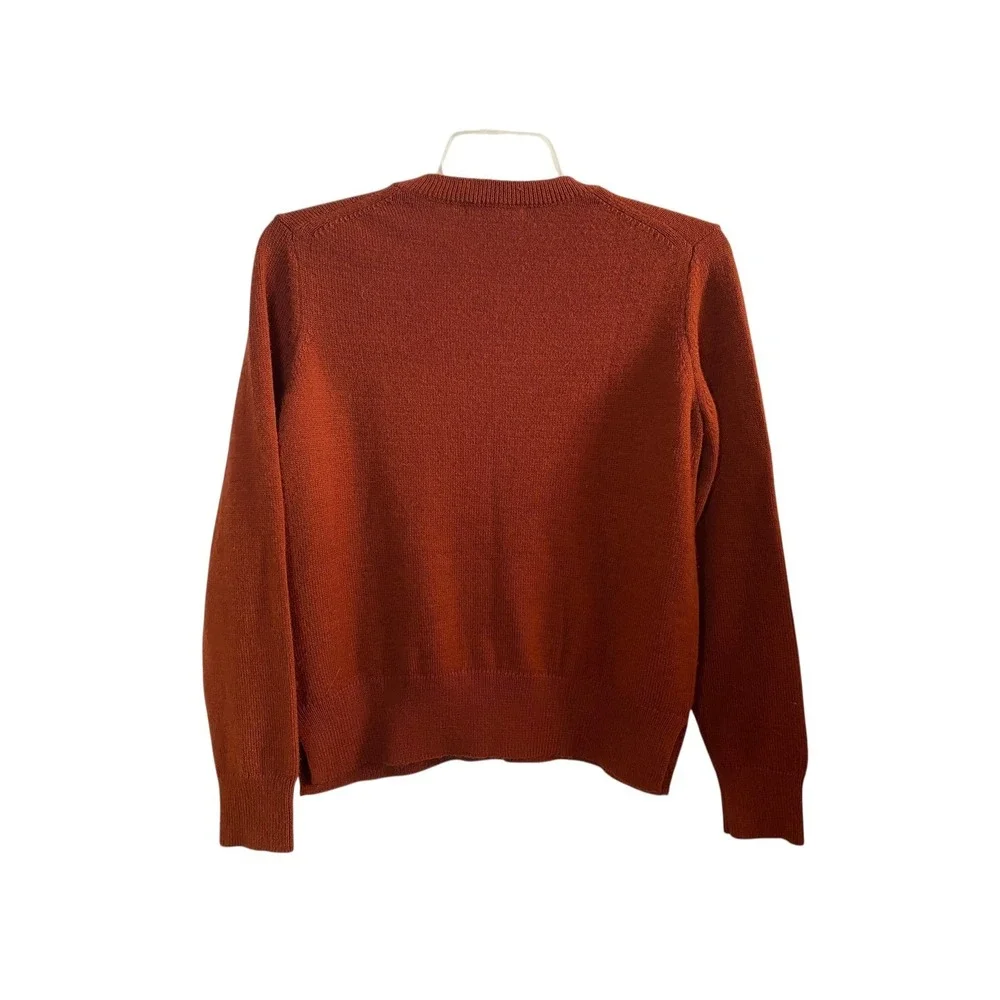 Banana Republic Mens Rust Crewneck Pullover Sweater Large Acrylic Nylon